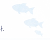 워터마크